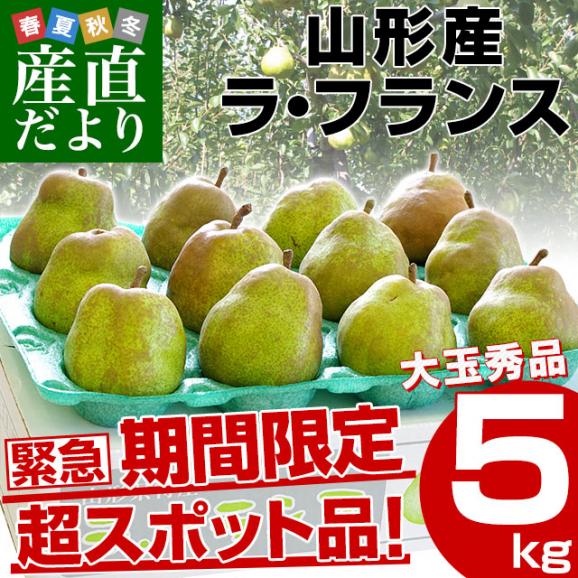 山形産 ラ・フランス 約5キロ　秀品大玉（12玉から16玉）送料無料　洋なし 洋梨 洋ナシ ラフランス 市場発送 02