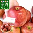 青森県より産地直送 JAつがる弘前 シナノスイート 超大玉 5キロ (9玉から11玉) 送料無料 りんご リンゴ 林檎