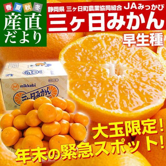 静岡県より産地直送 JAみっかび 三ケ日みかん (早生品種) 大玉2Lから3Lサイズ 7キロ (30玉から50玉）送料無料 三ヶ日 みつかび ミカン 温州みかん02