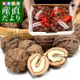 新潟県魚沼市産 笑顔の里 殻付きクルミ（オニグルミ） 約2キロ （500g×4パック） 送料無料 くるみ 胡桃 市場発送
