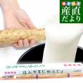 静岡県 JA静岡市 本山自然薯 ほんやまじねんじょ 1本物 Lサイズ 1本入り 送料無料 山芋 やまいも とろろ