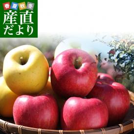 長野県より産地直送 JAながの りんご食べ比べ！ りんごセット約5キロ （シナノゴールド・サンふじ 計14玉から18玉）送料無料 りんご　林檎