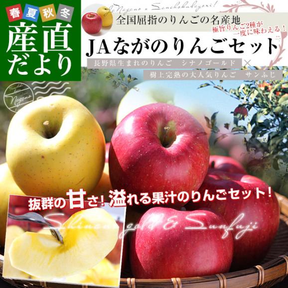 長野県より産地直送 JAながの りんご食べ比べ！ りんごセット約5キロ （シナノゴールド・サンふじ 計14玉から18玉）送料無料 りんご　林檎02
