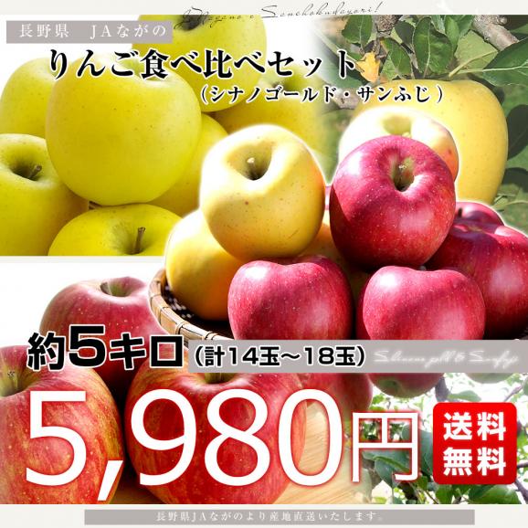 長野県より産地直送 JAながの りんご食べ比べ！ りんごセット約5キロ （シナノゴールド・サンふじ 計14玉から18玉）送料無料 りんご　林檎03