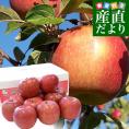 青森県より産地直送 JAつがる弘前 超Big サンふじりんご 超大玉 約5キロ (9玉から11玉) 送料無料 りんご リンゴ 林檎