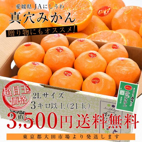 【お歳暮 ギフト】愛媛県 JAにしうわ 真穴みかん 3キロ以上2Lサイズ（21玉) 送料無料 ミカン 蜜柑 愛媛みかん 市場発送03