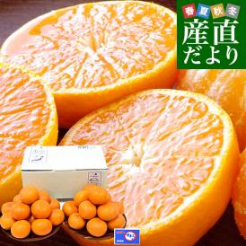 長崎県 JAながさき西海 味まる LからSサイズ 優品以上 約3キロ(24玉から36玉前後）送料無料 早生みかん ミカン 蜜柑