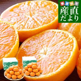 長崎県 JAながさき西海 味まる 約2キロ×2箱（合計32玉から48玉前後）優品以上 ミカン 蜜柑 送料無料