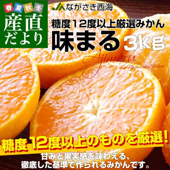 長崎県 JAながさき西海 味まる LからSサイズ 優品以上 約3キロ(24玉から36玉前後）送料無料 早生みかん ミカン 蜜柑02