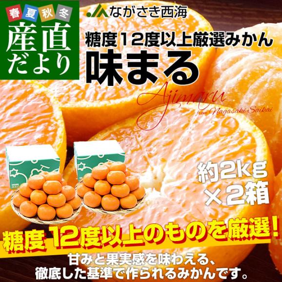 長崎県 JAながさき西海 味まる 約2キロ×2箱(合計32玉から48玉前後)優品以上 ミカン 蜜柑 送料無料02