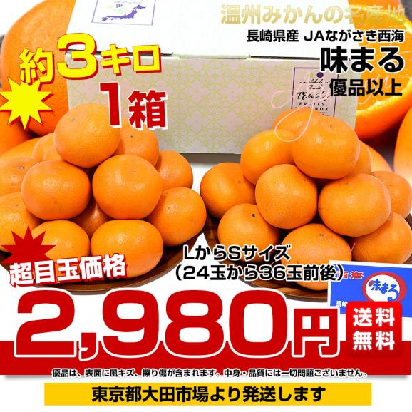 長崎県 JAながさき西海 味まる LからSサイズ 優品以上 約3キロ(24玉から36玉前後）送料無料 早生みかん ミカン 蜜柑03