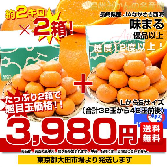 長崎県 JAながさき西海 味まる 約2キロ×2箱(合計32玉から48玉前後)優品以上 ミカン 蜜柑 送料無料03