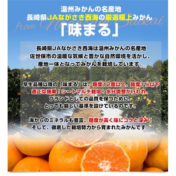 長崎県 JAながさき西海 味まる LからSサイズ 優品以上 約3キロ(24玉から36玉前後）送料無料 早生みかん ミカン 蜜柑06