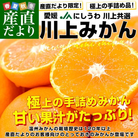 愛媛県 JAにしうわ「川上みかん」2Lサイズ 合計約6キロ(3キロ×2箱)（厳選の21玉×2箱）送料無料 みかん ミカン 蜜柑 市場発送02