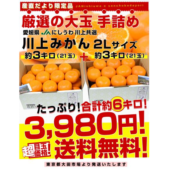 愛媛県 JAにしうわ「川上みかん」2Lサイズ 合計約6キロ(3キロ×2箱)（厳選の21玉×2箱）送料無料 みかん ミカン 蜜柑 市場発送03