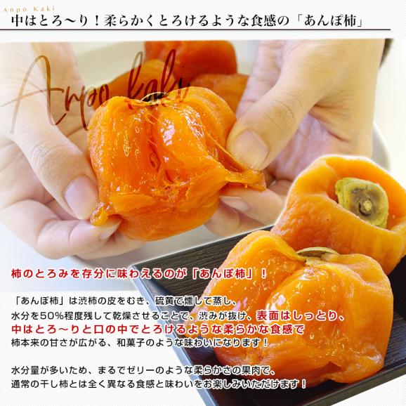 山梨県 JA南アルプス市 あんぽ柿＆JAフルーツ山梨 枯露柿 計860g （あんぽ柿140ｇ×4、枯露柿150ｇ×2）送料無料 あんぽ ころがき 干し柿05