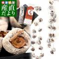 山形県 JAやまがた 上山市 特産 蔵王つるし柿 約900g 送料無料 かき 柿 干し柿 市場発送