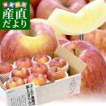 青森県産 ゴールド農園 葉とらずサンふじりんご 特秀品 約3キロ (8玉から10玉入) 送料無料 林檎 リンゴ サンふじ 津軽 弘前 市場発送