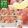 青森県産 ゴールド農園 葉とらずサンふじりんご 特秀品 合計約6キロ(3キロ×2箱) 1箱(8玉から10玉入) 送料無料 林檎 リンゴ サンふじ 津軽 弘前 市場発送