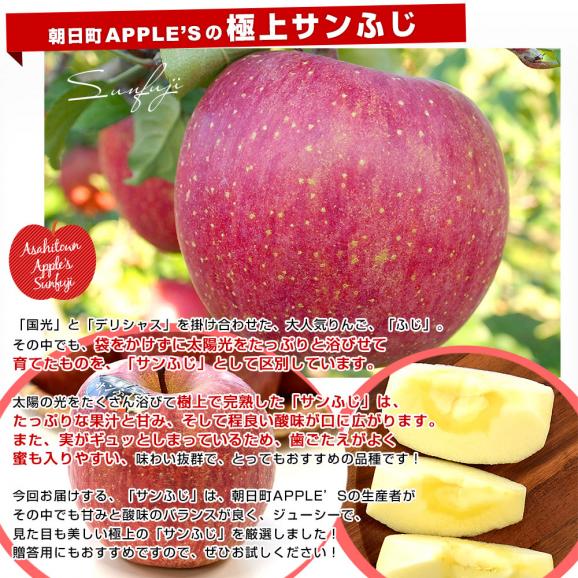 山形県より産地直送 山形朝日町APPLE’S サンふじりんご 特秀品 約2キロ 化粧箱（5玉から7玉） 送料無料 林檎 リンゴ ギフト04
