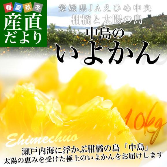 愛媛県産 JAえひめ中央 中島のいよかん 優品2Lサイズ 10キロ (36玉前後) 柑橘 オレンジ 伊予柑　送料無料 市場発送02