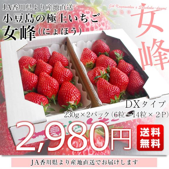 香川県より産地直送 女峰いちご DXタイプ 460g (230g&times;2P：6粒から14粒&times;2P) 送料無料 イチゴ 苺 讃岐※クール便03