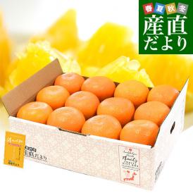 愛媛県産 JAえひめ中央 中島のいよかん 優品 約3キロ 3Lから2Lサイズ （10玉から12玉） 柑橘 オレンジ 伊予柑　送料無料 市場発送