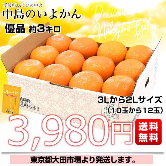 愛媛県産 JAえひめ中央 中島のいよかん 優品 約3キロ 3Lから2Lサイズ （10玉から12玉） 柑橘 オレンジ 伊予柑　送料無料 市場発送03