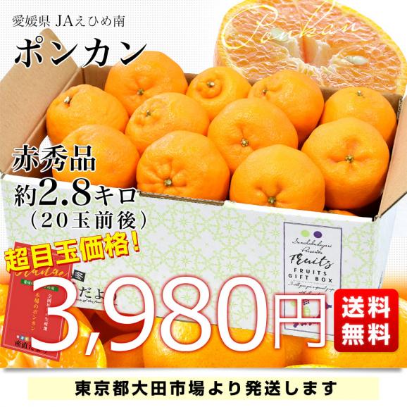 愛媛県産 JAえひめ南 ポンカン 赤秀品 2Lサイズ 約2.8キロ （20玉前後） 送料無料 柑橘 オレンジ ぽんかん 市場発送03