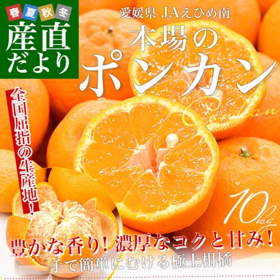 愛媛県産 JAえひめ南 ポンカン 赤秀品 Lサイズ 約10キロ (70玉から80玉前後) 送料無料 柑橘 オレンジ ぽんかん 市場発送02
