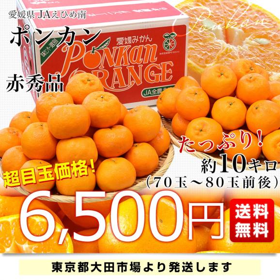 愛媛県産 JAえひめ南 ポンカン 赤秀品 Lサイズ 約10キロ (70玉から80玉前後) 送料無料 柑橘 オレンジ ぽんかん 市場発送03