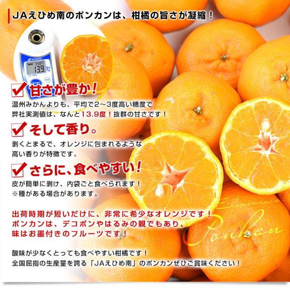 愛媛県産 JAえひめ南 ポンカン 赤秀品 2Lサイズ 約9キロ (60玉前後) 送料無料 柑橘 オレンジ ぽんかん 市場発送04