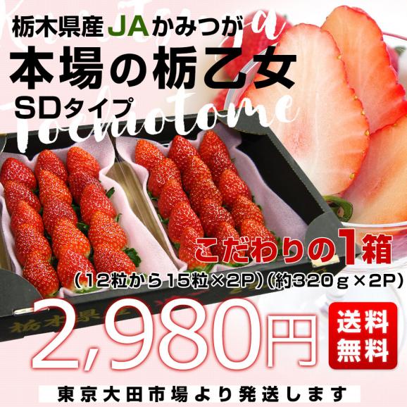 栃木県産 JAかみつが 本場の栃乙女 SD 320g×２P (12粒から15粒×2P) いちご イチゴ 苺 送料無料 03