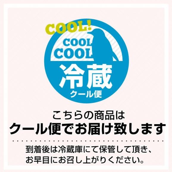 栃木県産 JAかみつが 本場の栃乙女 SD 320g×２P (12粒から15粒×2P) いちご イチゴ 苺 送料無料 06