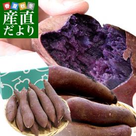 茨城県 JAなめがたしおさい 行方の紫福（なめがたのしふく）品種名：ふくむらさき Mサイズ 約2.5キロ（9本前後） 送料無料 さつまいも 紫芋 市場発送