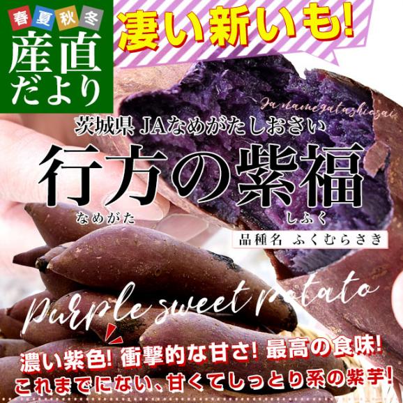 茨城県 JAなめがたしおさい 行方の紫福（なめがたのしふく）品種名：ふくむらさき Mサイズ 約2.5キロ（9本前後） 送料無料 さつまいも 紫芋 市場発送02