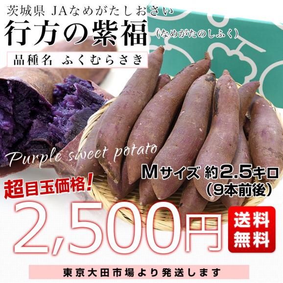 茨城県 JAなめがたしおさい 行方の紫福（なめがたのしふく）品種名：ふくむらさき Mサイズ 約2.5キロ（9本前後） 送料無料 さつまいも 紫芋 市場発送03