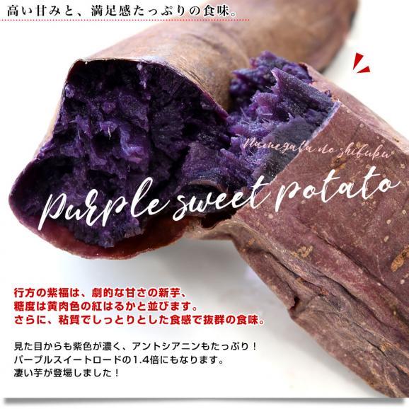 茨城県 JAなめがたしおさい 行方の紫福（なめがたのしふく）品種名：ふくむらさき Mサイズ 約2.5キロ（9本前後） 送料無料 さつまいも 紫芋 市場発送04