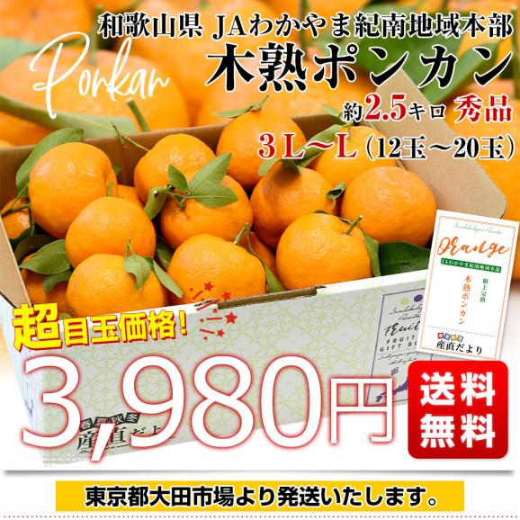 和歌山県産 JAわかやま紀南地域本部 木熟ポンカン 3LからL 秀品 約2.5キロ（12玉から20玉）送料無料 柑橘 オレンジ ぽんかん 市場発送03