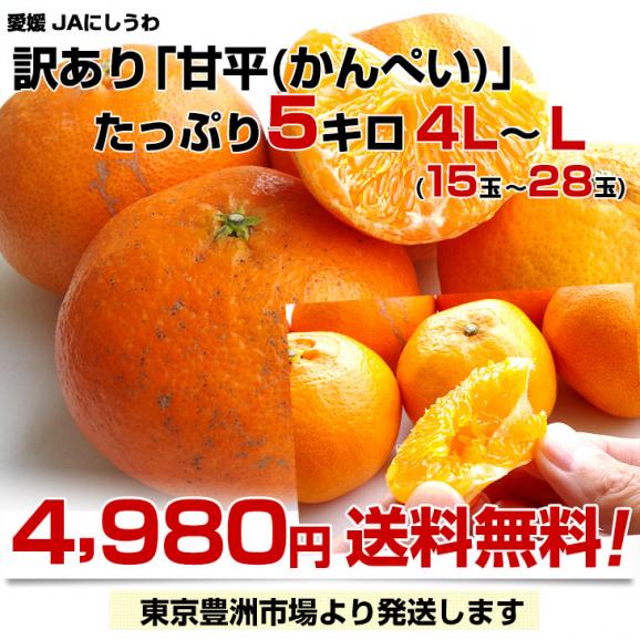 愛媛県産　JAにしうわ　訳あり甘平（かんぺい）約5キロ　4LからL（15玉から28玉前後）市場スポット みかんミカン　送料無料03