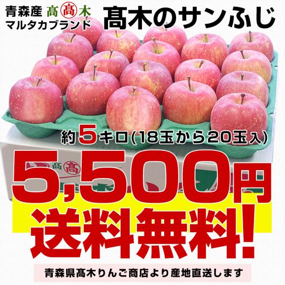 青森県より産地直送 高木りんご商店 サンふじ　秀A品 5キロ（18玉から20玉） 送料無料 林檎 さんふじ さんフジ りんご リンゴ03