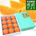 広島県産 JA三原せとだ「せとか」 3キロ 特選 Lから3Lサイズ（10玉から15玉）柑橘 かんきつ オレンジ  市場スポット  送料無料