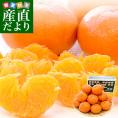 JAえひめ中央 甘平（かんぺい）秀品 4Lから3Ｌサイズ  5キロ（15玉から18玉前後）柑橘 オレンジ カンペイ 愛媛中央農協 松山 送料無料