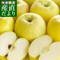 青森県より産地直送 高木商店 マルタカブランド 王林りんご 特5キロ(16玉から20玉入) 送料無料 林檎 リンゴ おうりん 津軽 弘前