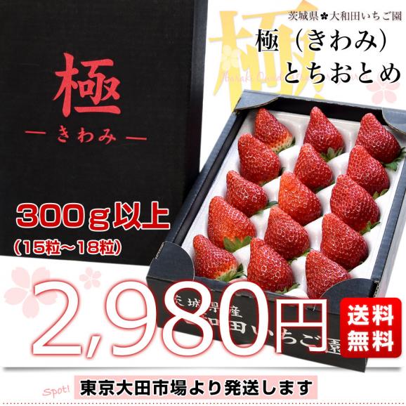 茨城県産 大和田いちご園の極（きわみ）とちおとめ 1箱 300g以上（15粒から18粒）送料無料 いちご イチゴ 苺 栃乙女03