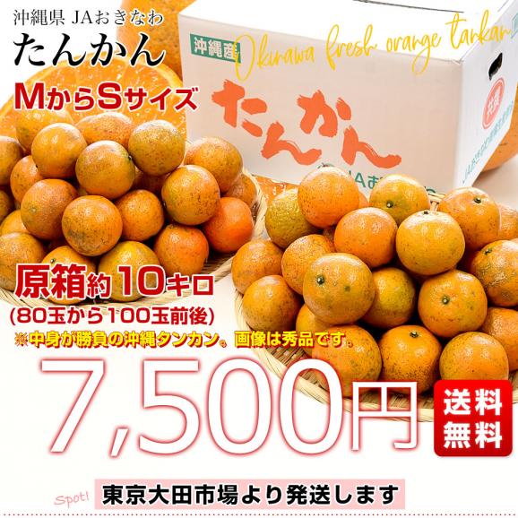 沖縄県産 JAおきなわ たんかん 約10キロ MからSサイズ(80玉から 沖縄県産 JAおきなわ たんかん 約10キロ MからSサイズ(80玉から