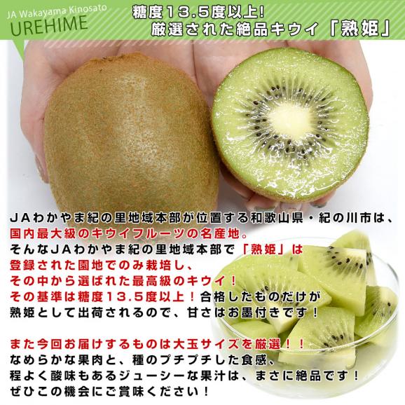 和歌山県産 JAわかやま紀の里地域本部 熟姫(うれひめ) 約3.6キロ(20玉から27玉入り) 送料無料 キウイフルーツ グリーンキウイ ヘイワード 市場発送04