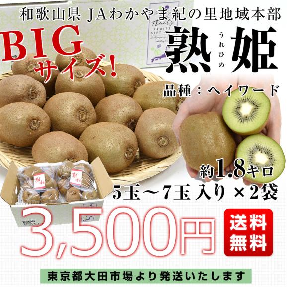 和歌山県産 JAわかやま紀の里地域本部 熟姫(うれひめ) 約1.8キロ(5玉から7玉入り&times;2袋) 送料無料 キウイフルーツ グリーンキウイ ヘイワード 市場発送03