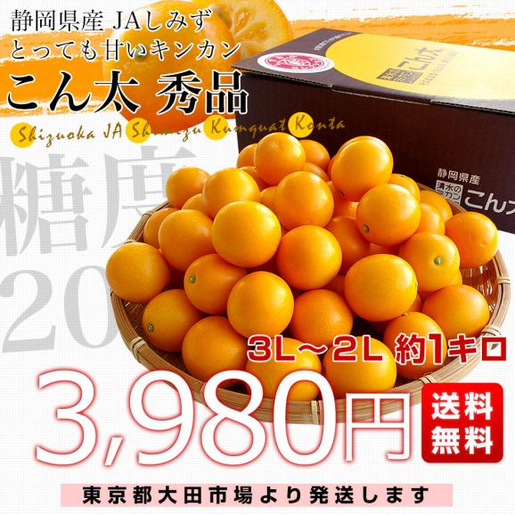 静岡県産　JAしみず　こん太きんかん　3Lから2L　秀品　約1キロ　金柑　キンカン 送料無料03