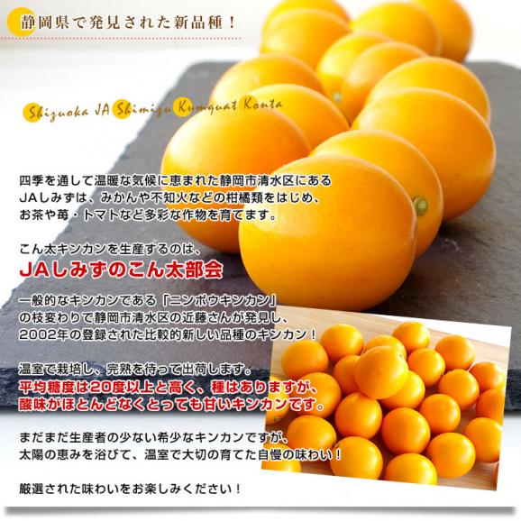 静岡県産　JAしみず　こん太きんかん　3Lから2L　秀品　約1キロ　金柑　キンカン 送料無料05